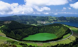 Teeanbau auf den Azoren