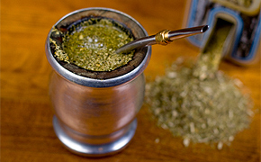 Grüner Mate Tee