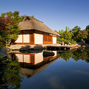 Teehaus Teehaus
