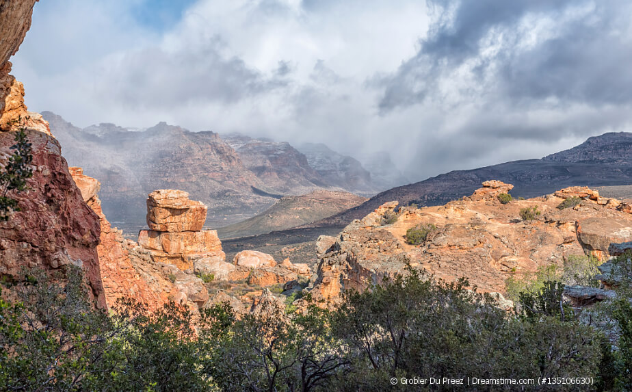 Cederberg Mountains - Skoon - Rooibos Tee
