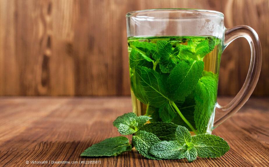 Pfefferminztee mit frischer Minze im Glas