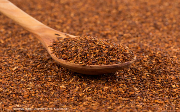 Rooibos – von Afrika in die ganze Welt