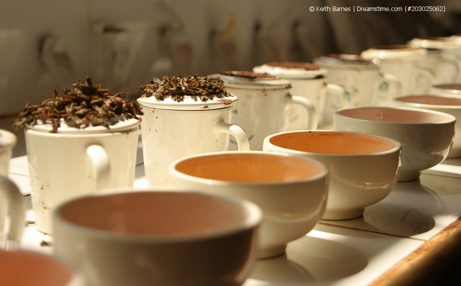 Teatasting - hochwertige Teesorten